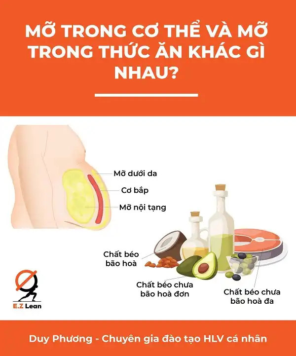 Mỡ trong thức ăn và mỡ trong cơ thể khác gì nhau