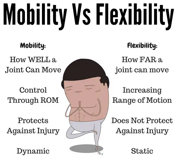 Mobility vs Flexibility