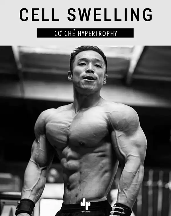 Mối liên quan giữa Cell Swelling và cơ bắp to nhỏ