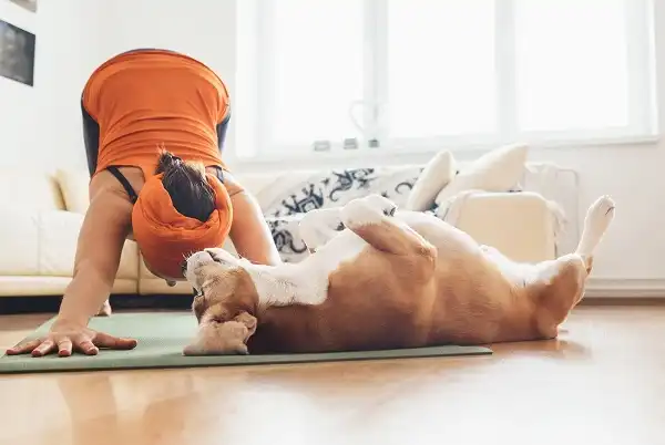 Muốn tập ở nhà nhưng lại lười
