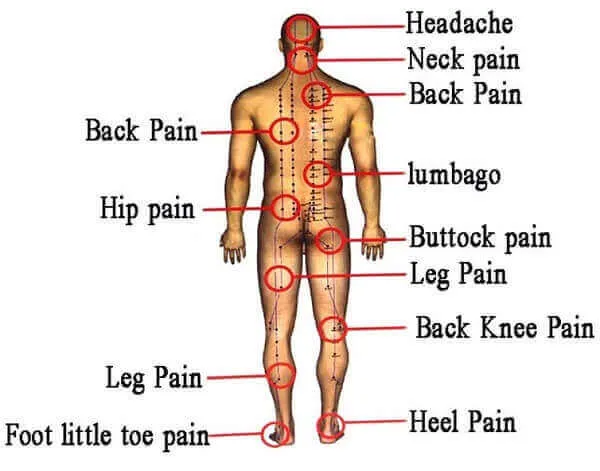 Tổn thương cơ bắp sau khi tập là tiền đề phát triển cơ Tổn thương cơ bắp sau khi tập là tiền đề phát triển cơ