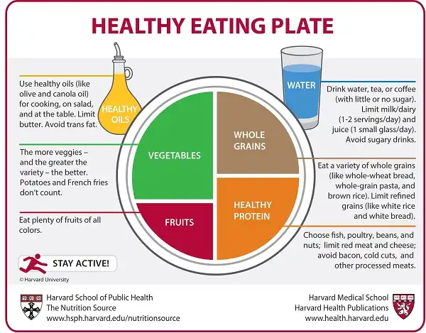 1 cách ăn với chế độ ăn MyPlate