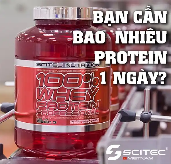 Nạp bao nhiêu Protein 1 ngày thật sự cần thiết cho người đi tập