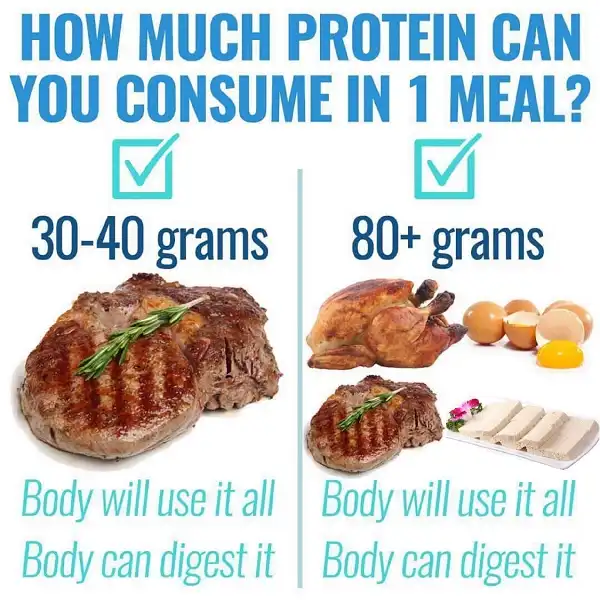 Nạp hơn 30gr Protein mỗi bữa ăn chả có hại gì cả Nạp hơn 30gr Protein mỗi bữa ăn chả có hại gì cả