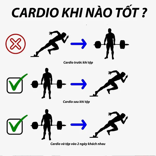 Nên Cardio khi nào tốt nhất để phối hợp với các môn vận động khác Nên Cardio khi nào tốt nhất để phối hợp với các môn vận động khác