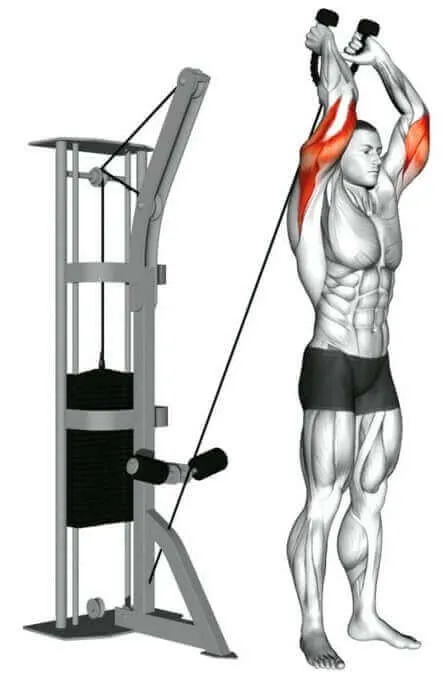 Nên tập Overhead Triceps Extension như vầy để hạn chế đau Nên tập Overhead Triceps Extension như vầy để hạn chế đau