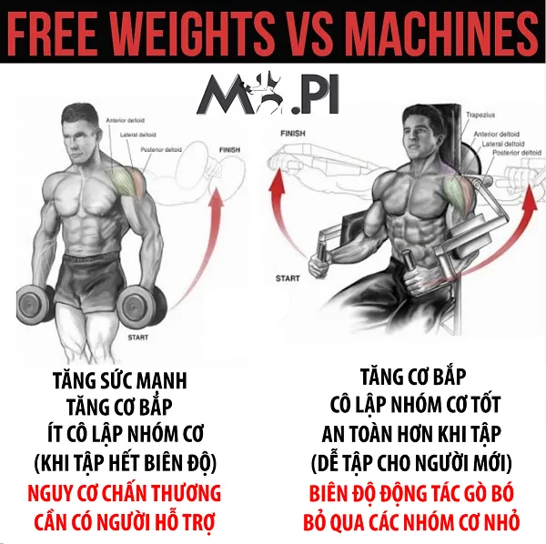 Nên tập với máy tập hay tập với tạ đòn và tạ đơn Nên tập với máy tập hay tập với tạ đòn và tạ đơn
