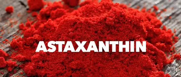 Nghiên cứu khoa học về những tác dụng của Astaxanthin