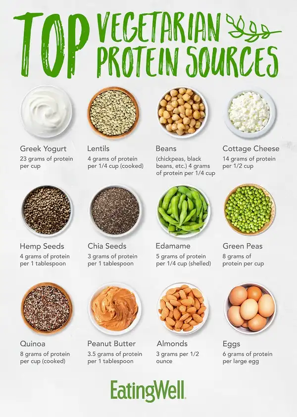 Người ăn chay phải ăn đa dạng nguồn Protein