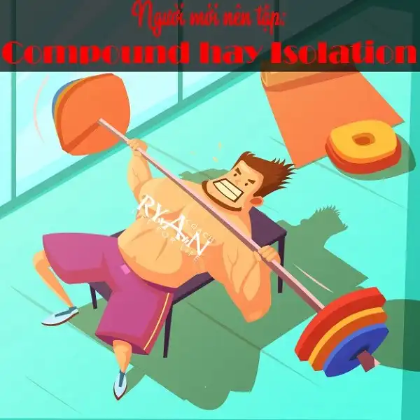 Người mới nên tập Compound hay Isolation Người mới nên tập Compound hay Isolation