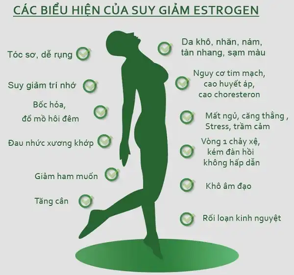 Estrogen - Nguyên nhân tích mỡ thân dưới ở nữ và giải pháp cải thiện Estrogen - Nguyên nhân tích mỡ thân dưới ở nữ và giải pháp cải thiện