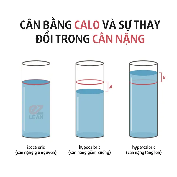 Nguyên tắc về cân bằng Calo