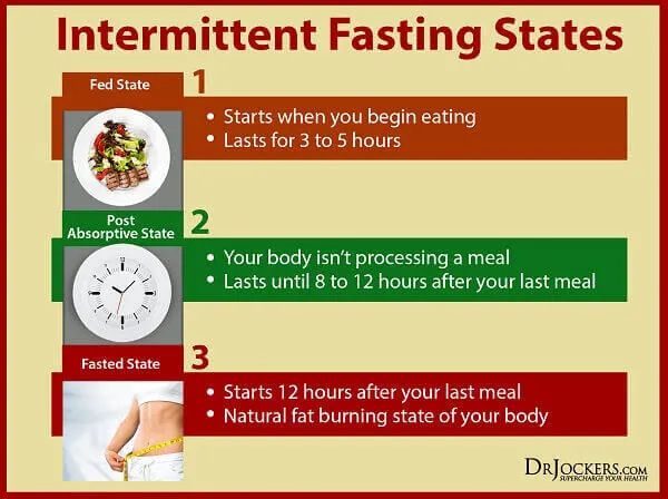 Intermittent Fasting Diet - Nhịn ăn gián đoạn để giảm mỡ