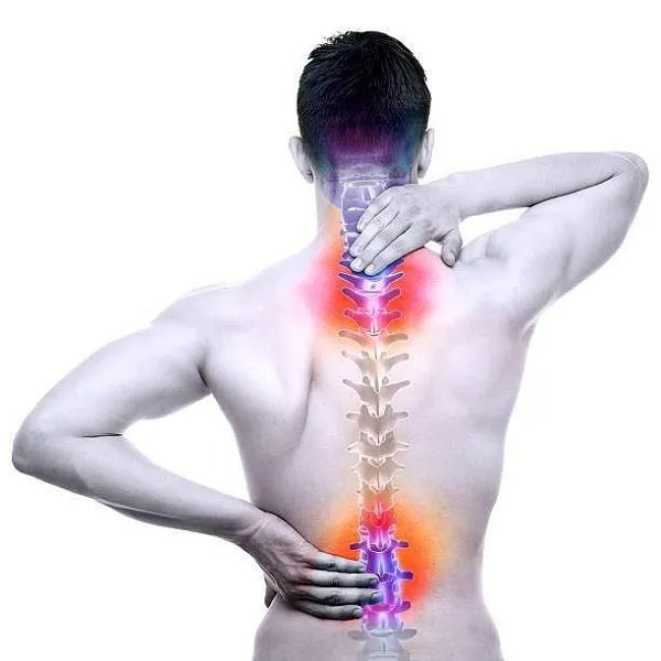 Nhóm cơ nào có thể gây ra vấn đề đau lưng Nhóm cơ nào có thể gây ra vấn đề đau lưng