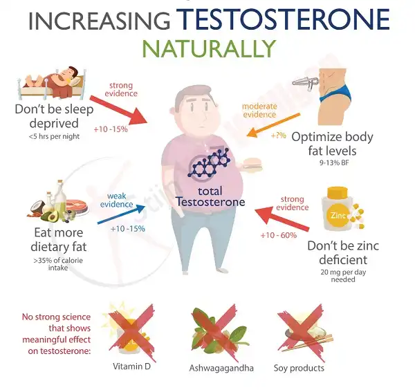 Những cách tăng Testosterone tự nhiên thay vì phí tiền vào Test Booster Những cách tăng Testosterone tự nhiên thay vì phí tiền vào Test Booster