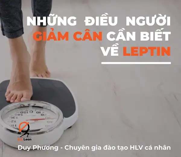 Những điều người giảm cân cần biết về Leptin