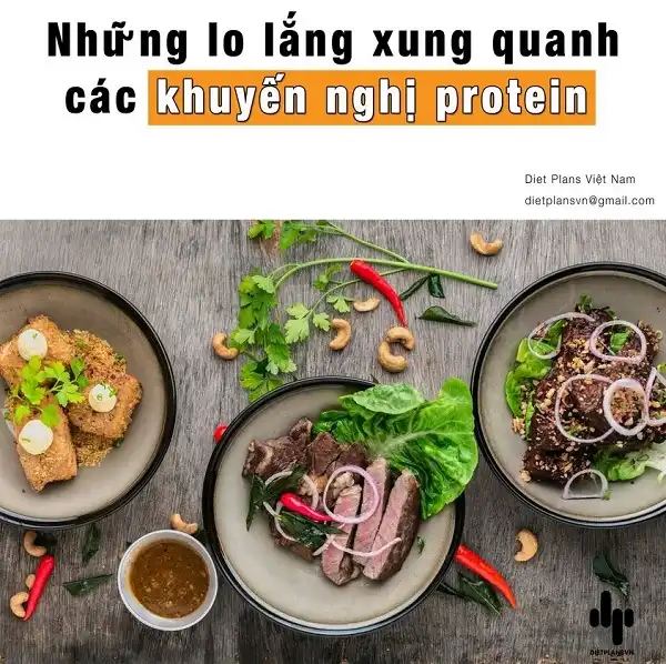 Những lo lắng xung quanh các khuyến nghị dùng Protein