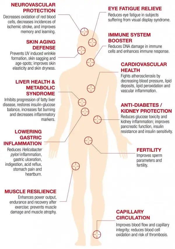 Những lợi ích không ngờ của Astaxanthin với bạn