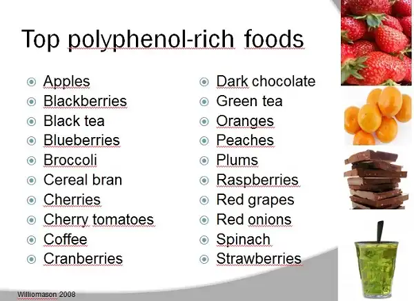 Những thực phẩm giàu Polyphenol Những thực phẩm giàu Polyphenol