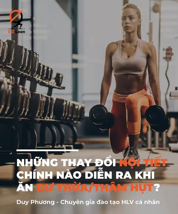 Nội tiết tố thay đổi thế nào khi thay đổi ăn uống