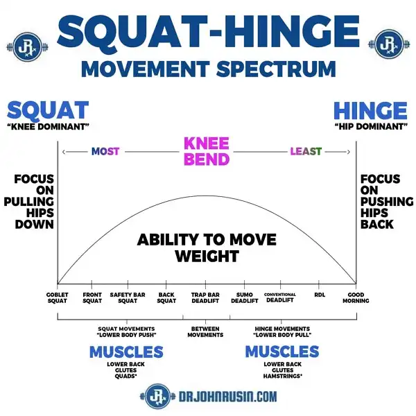 Phân biệt giữa Squat Pattern và Hip Hinge Pattern Phân biệt giữa Squat Pattern và Hip Hinge Pattern