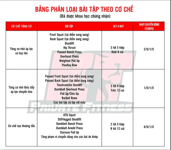 Phân loại các bài tập dựa trên cơ chế tăng cơ Phân loại các bài tập dựa trên cơ chế tăng cơ