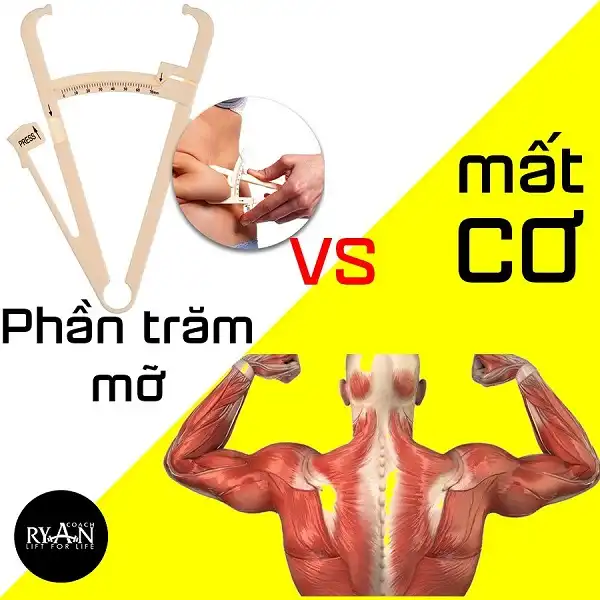 Phần trăm mỡ và việc mất cơ bắp Phần trăm mỡ và việc mất cơ bắp