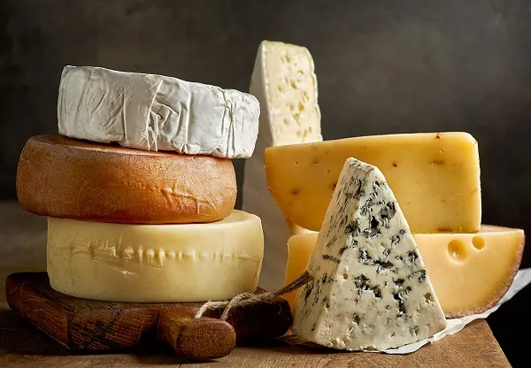 Cheese có nhiều lợi khuẩn tốt cho đường tiêu hóa và tăng hấp thu dưỡng chất Cheese có nhiều lợi khuẩn tốt cho đường tiêu hóa và tăng hấp thu dưỡng chất