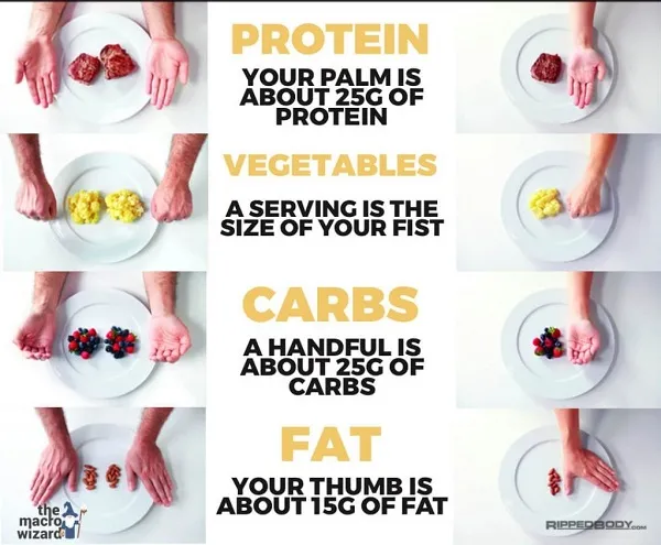 Phương pháp Hand Size Portion để định lượng thực phẩm Phương pháp Hand Size Portion để định lượng thực phẩm