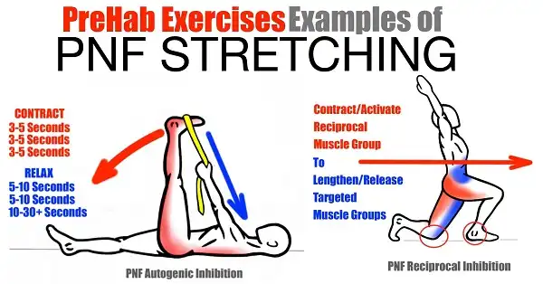PNF Stretching là gì