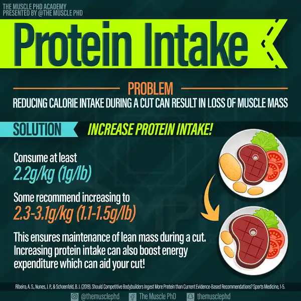 Protein giúp bạn tăng lượng cơ bắp tối đa