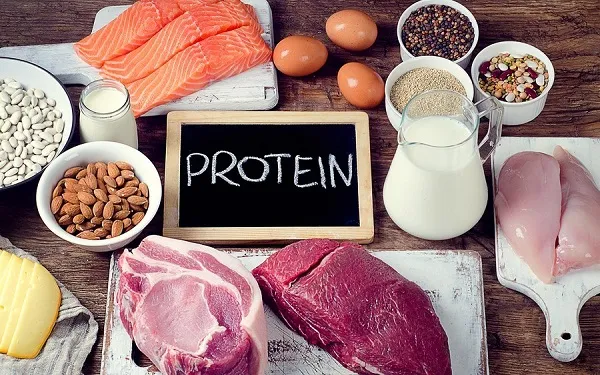Protein rất quan trọng trong Bulking Protein rất quan trọng trong Bulking