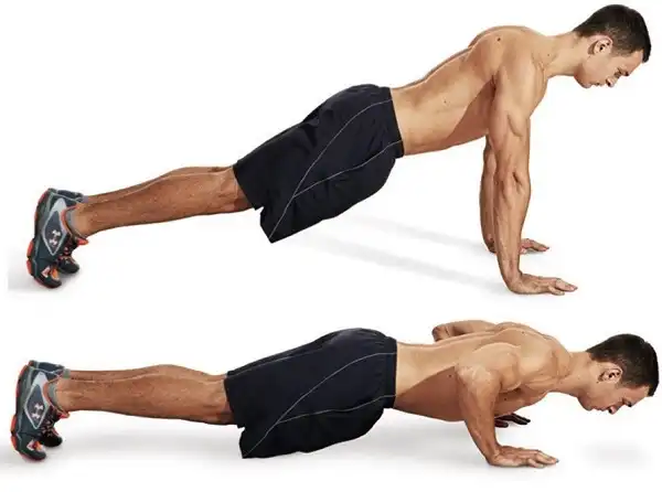 Push up bodyweight là bài tập tuyệt vời cho cơ răng cưa trước Push up bodyweight là bài tập tuyệt vời cho cơ răng cưa trước