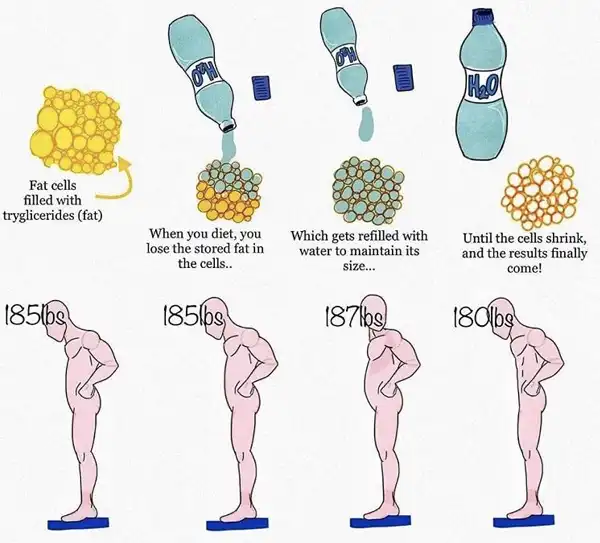 Quá trình giảm mỡ khác với giảm cân