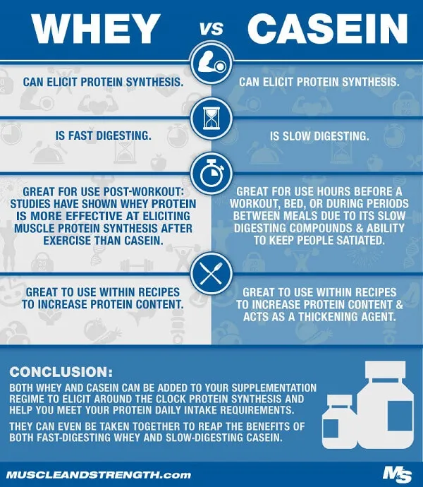 Protein hấp thu nhanh hay chậm gì cũng được Protein hấp thu nhanh hay chậm gì cũng được