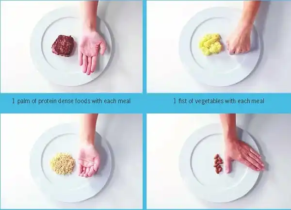 Quy tắc bàn tay giảm béo ko cần đếm Calories Quy tắc bàn tay giảm béo ko cần đếm Calories