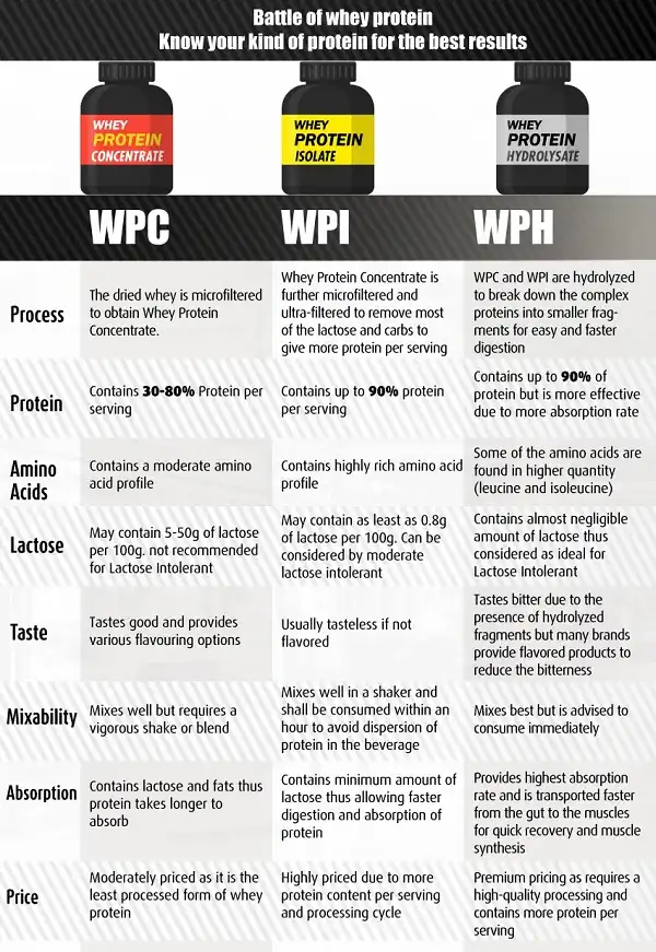 So sánh các loại Whey Protein So sánh các loại Whey Protein
