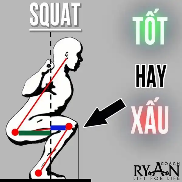 Squat nên để đầu gối vượt quá mũi bàn chân Squat nên để đầu gối vượt quá mũi bàn chân
