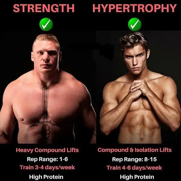 Sự khác biệt khi tập luyện để tăng cơ hay tăng sức mạnh