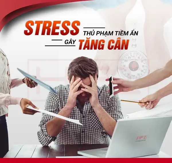 Stress - Thủ phạm tiềm ẩn gây béo phì Stress - Thủ phạm tiềm ẩn gây béo phì