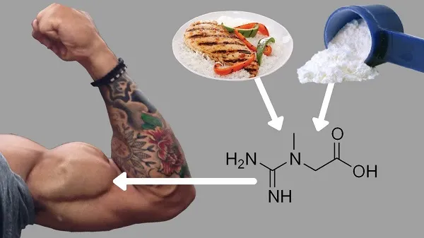 Sử dụng Creatine xây dựng sức mạnh cơ bắp và cải thiện sức khỏe Sử dụng Creatine xây dựng sức mạnh cơ bắp và cải thiện sức khỏe