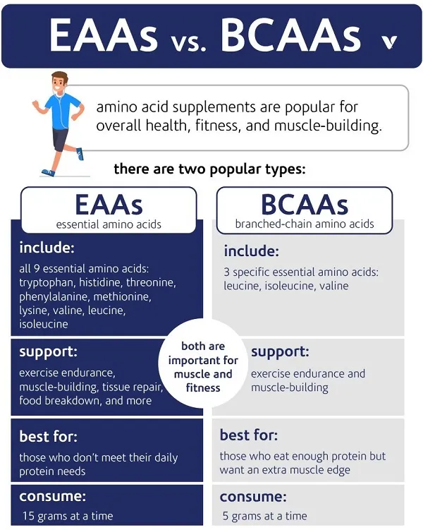 Sự khác biệt giữa BCAA và EAA Sự khác biệt giữa BCAA và EAA