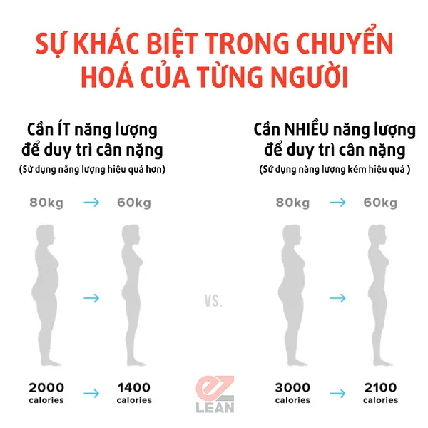 chuyển hóa cơ bản là gì