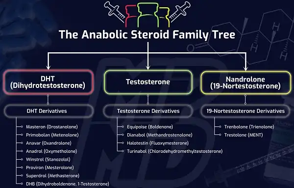 Sự khác nhau giữa các nhóm steroid