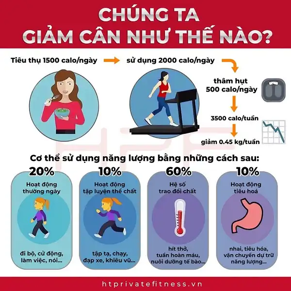 Tác động kép lên hệ năng lượng để giảm cân an toàn nhanh chóng