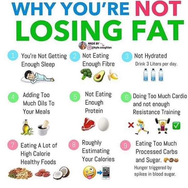 9 lý do ăn kiêng đúng nhưng vẫn không thể giảm cân đốt mỡ 9 lý do ăn kiêng đúng nhưng vẫn không thể giảm cân đốt mỡ