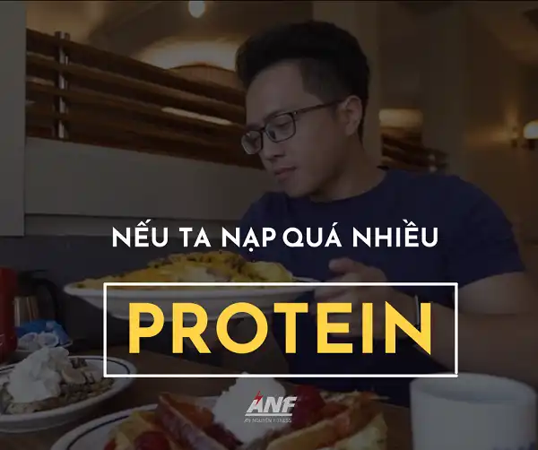 Tại sao ăn quá nhiều Protein lại không tốt