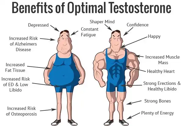Tập luyện có thực sự giúp bạn tăng Testosterone Tập luyện có thực sự giúp bạn tăng Testosterone