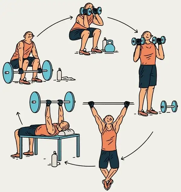 Tập luyện xoay vòng là hình thức tập Aerobic Training đốt mỡ đốt Calo cực kỳ hiệu quả Tập luyện xoay vòng là hình thức tập Aerobic Training đốt mỡ đốt Calo cực kỳ hiệu quả