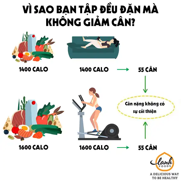 Tập thể dục đều mà không cái gì giảm Tập thể dục đều mà không cái gì giảm